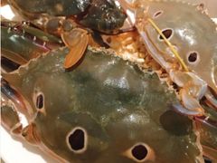 -诱货海鲜自助火锅(爱琴海购物公园东百店)