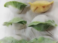 -天鹅到家·保姆月嫂育儿嫂(南开店)