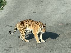 -大连森林动物园