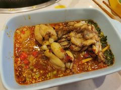 鲜活牛蛙-蛙两只美蛙鱼头火锅(恒茂店)