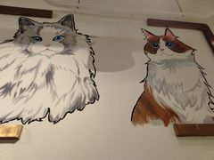-喵喵咪呀布偶猫咖(春熙路店)