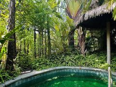 -碧桂园润杨溪谷温泉酒店