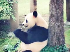 -上海野生动物园