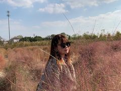 -映月湖中央公园