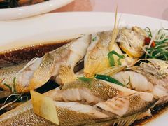 -温州王朝大酒店-自助餐厅