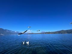 -丽江泸沽湖景区