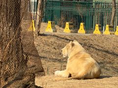 -秦皇岛野生动物园