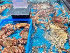 -盒马鲜生(王府广场店)