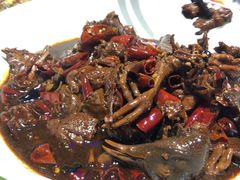 -三强鸽子(胜利路店)