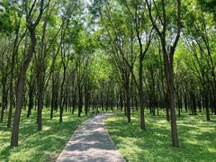 -东郊湿地公园
