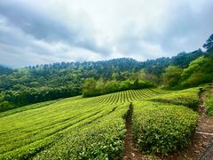 -敬亭山风景名胜区