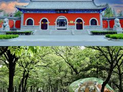 -沂蒙山旅游区龟蒙景区