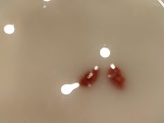 -古觉面片(科技路天朗蓝湖树店)