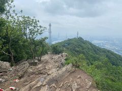 -紫金山索道-售票处