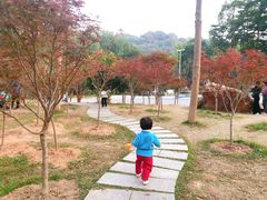 -广州市帽峰山景区