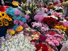 -循礼门鲜花花市(武汉循礼门店)