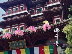 -新加坡佛牙寺龙华院