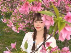 -天适樱花悠乐园