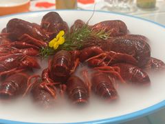 -杨氏青龙虾·羊蝎子(珠江路店)