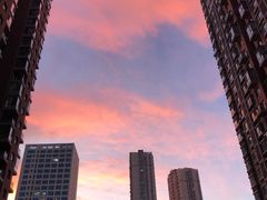 -西塔大冷面(市府大路店)