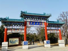 -云岗森林公园