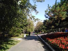 -黑龙江省森林植物园