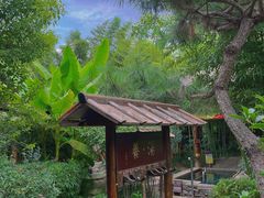 -观唐（国际）度假村温泉