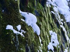 -峡谷浮石林景区