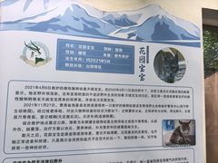-青藏高原野生动物园