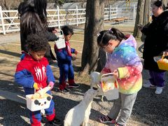 -前小桔亲子创意农场·草莓采摘·露营烧烤