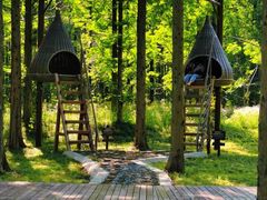 -黄海国家森林公园