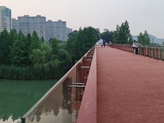 -青枫公园