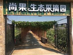 -尚果生态采摘园