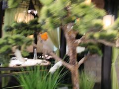 -绿茶餐厅(同成街华联店)