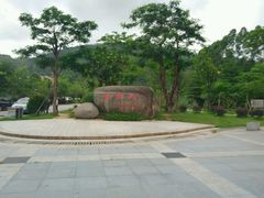 android_upload_pic-火炉山森林公园