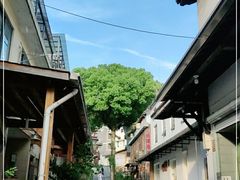 -杭州西湖风景名胜区-满觉陇四眼井