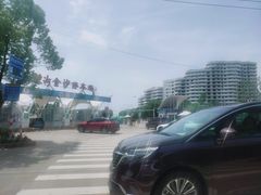 -碧海金沙