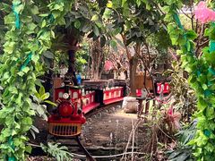 -呀路古热带植物园