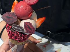 -哈根达斯(大洋百货店)