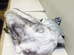 -小时光咖啡馆(开森度假森林店)