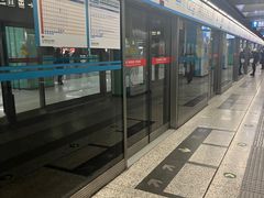 -宋家庄(地铁站)