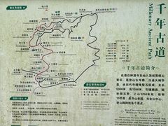 -天目山大树王景区