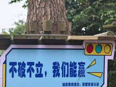 -芦仙山景区-飞越丛林探险乐园