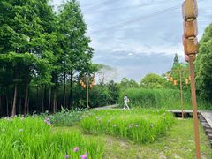 -长田漾湿地公园