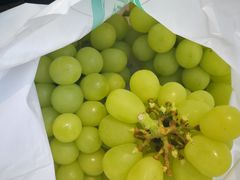 -迪茵湖田家舍生态农场
