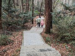 -大奇山国家森林公园