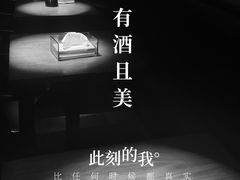 -大聖·精酿啤酒(市南路店)
