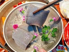 -赵美丽·重庆社区火锅·直营店(火车东站·中豪国际店)