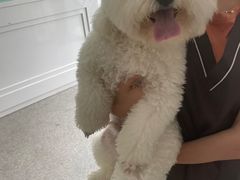 -安安宠医·安宠宠物医院