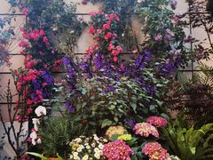 -PlantsEatery·植物食堂(REX春熙店)